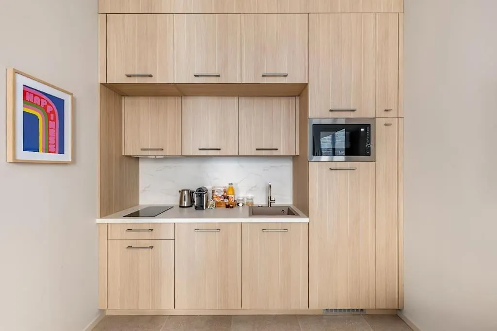 Hector Suite Notre Dame - Confort Contemporain Hypercentre Saint-Etienne  0*, Saint-Etienne (Loire) France